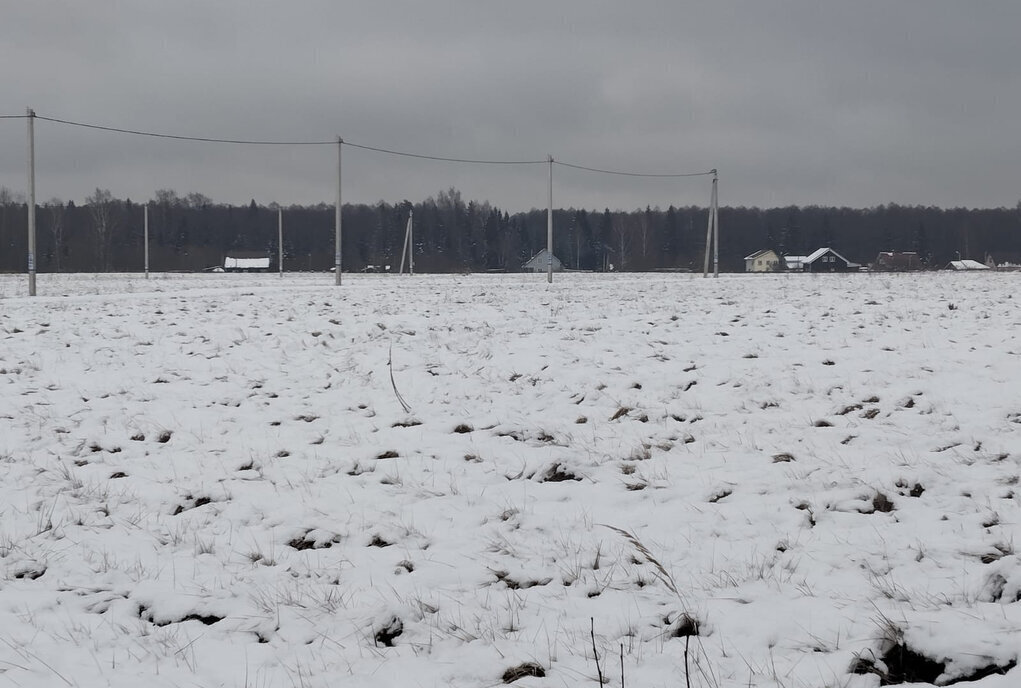 земля г Раменское снт Раменье Дмитровский городской округ фото 1