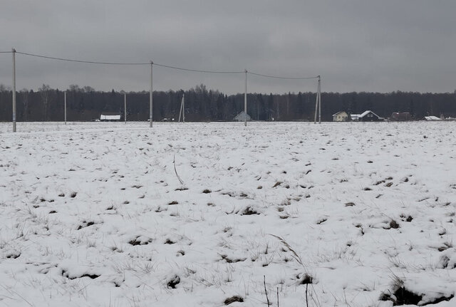 снт Раменье Дмитровский городской округ фото