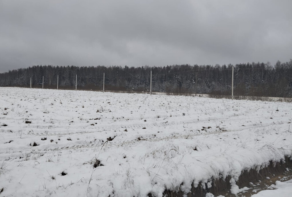 земля г Раменское снт Раменье Дмитровский городской округ фото 2