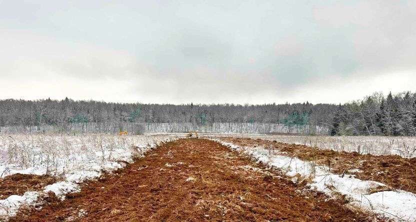 земля городской округ Истра коттеджный поселок "Павлово" 24 км, г. о. Подольск, Симферопольское шоссе фото 5