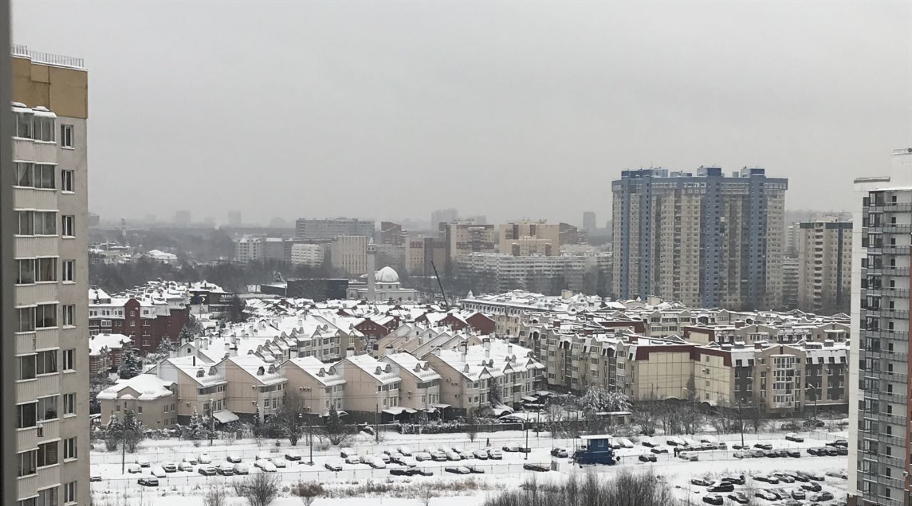 квартира г Санкт-Петербург метро Комендантский Проспект ул Долгоозёрная 39к/1 округ Юнтолово фото 12