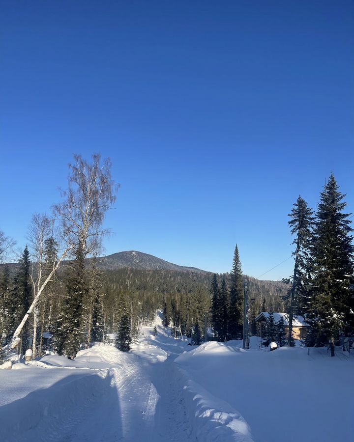 земля р-н Таштагольский пгт Шерегеш ул Ледовая Шерегешское городское поселение фото 1