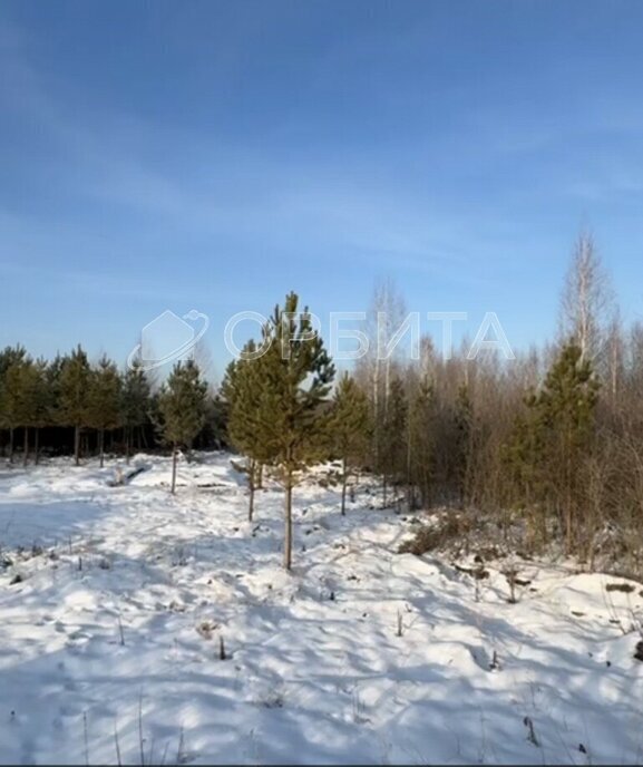 земля р-н Нижнетавдинский д Московка ул Кучерова КП Чехов фото 1