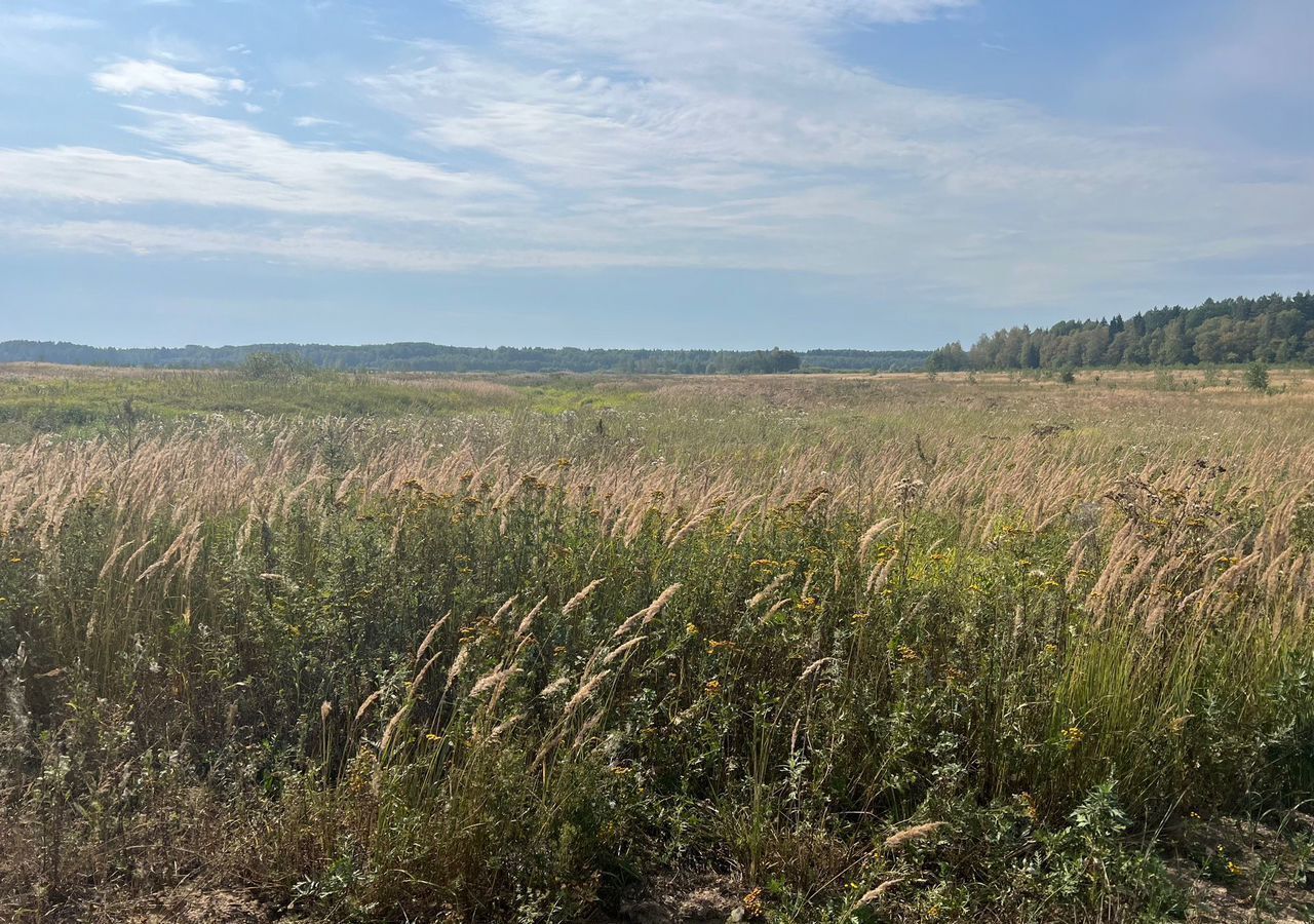 земля городской округ Можайский 124 км, Уваровка, Минское шоссе, д. Замошье фото 20