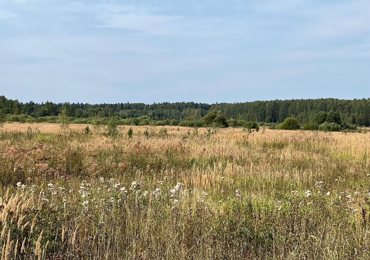 земля городской округ Можайский 124 км, Уваровка, Минское шоссе, д. Замошье фото 23