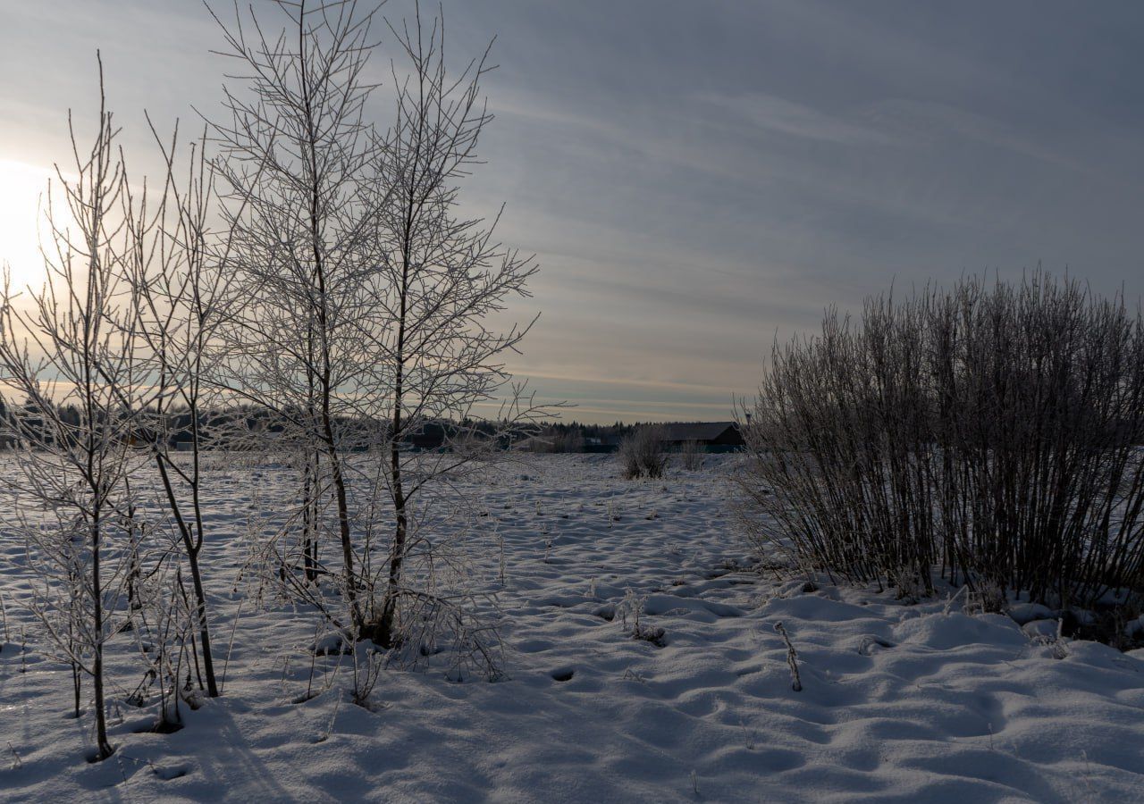 земля городской округ Шаховская с Белая Колпь 112 км, Новорижское шоссе фото 2