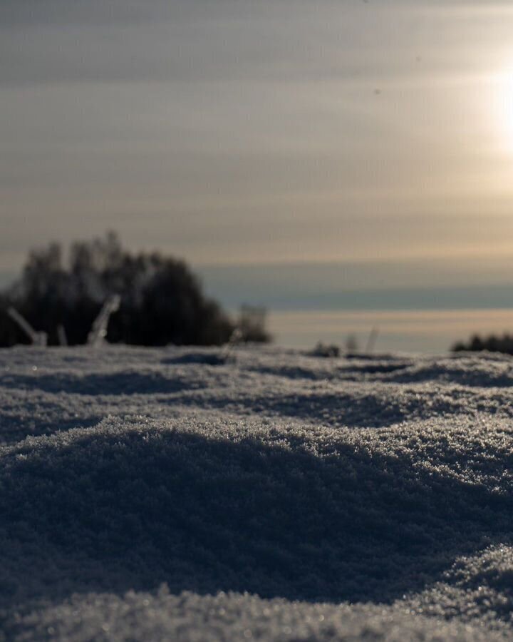 земля городской округ Шаховская с Белая Колпь 112 км, Новорижское шоссе фото 3