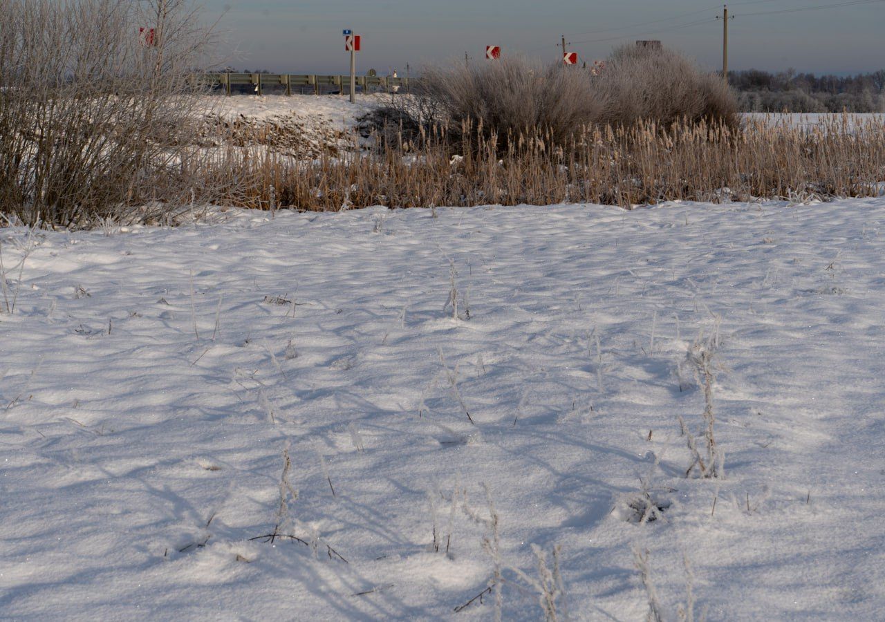 земля городской округ Шаховская с Белая Колпь 112 км, Новорижское шоссе фото 7