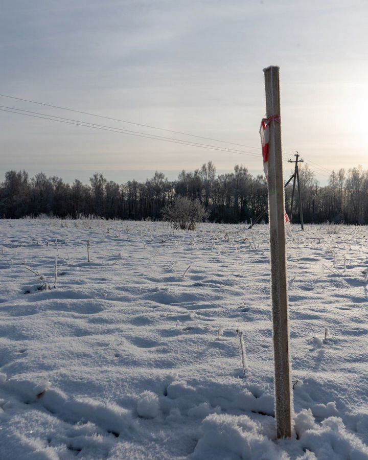 земля городской округ Шаховская с Белая Колпь 112 км, Новорижское шоссе фото 8