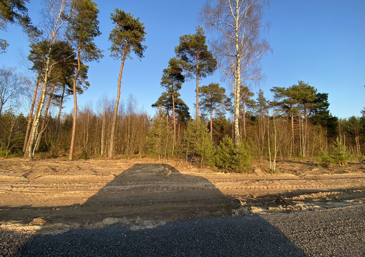 земля городской округ Волоколамский д Власьево 83 км, Волоколамск, Новорижское шоссе фото 3