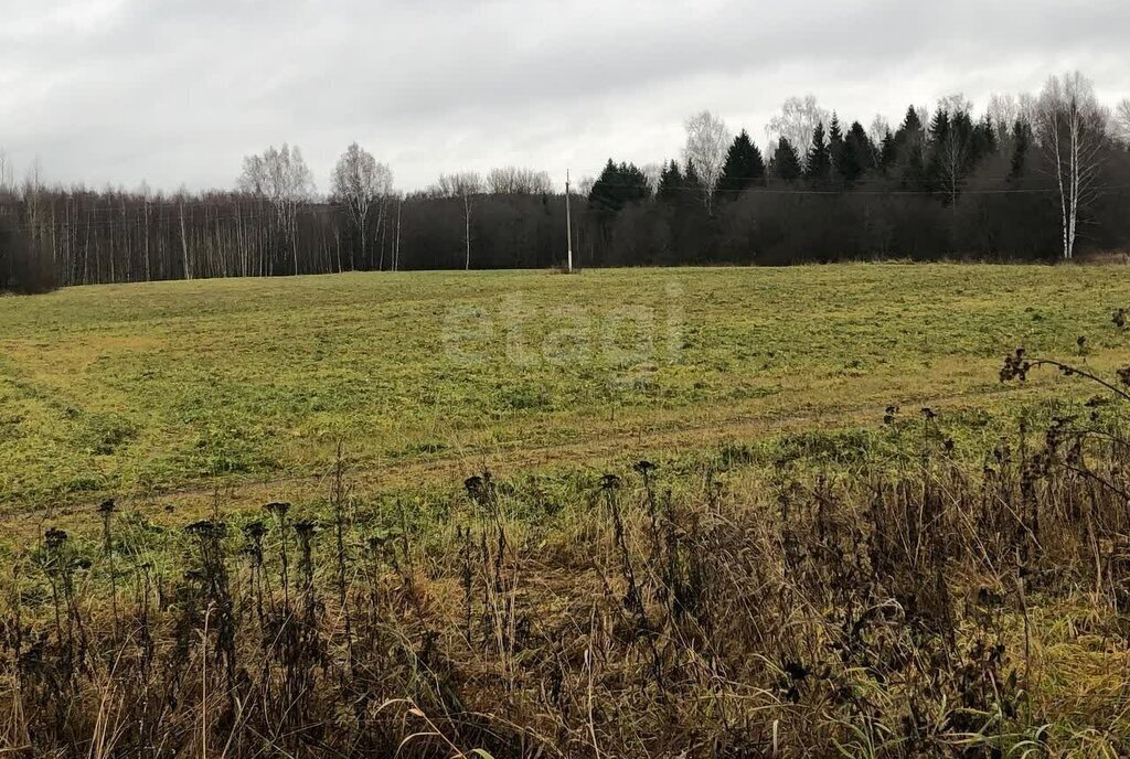 земля г Волгореченск ул Березовая фото 3