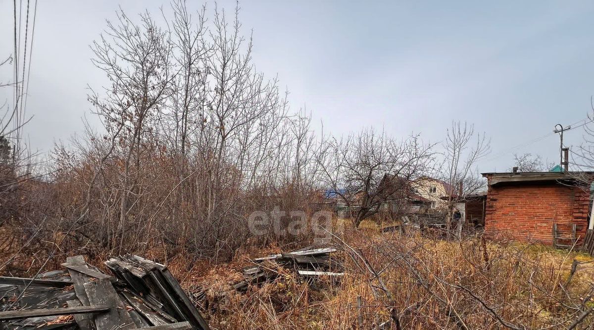 земля г Омск р-н Октябрьский снт Сибиряк аллея 1-я фото 10