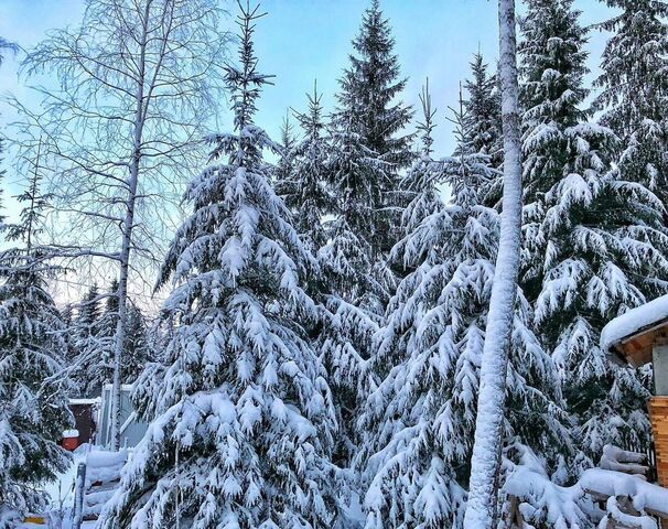 снт Генетик Барышевский сельсовет, Новосибирск фото