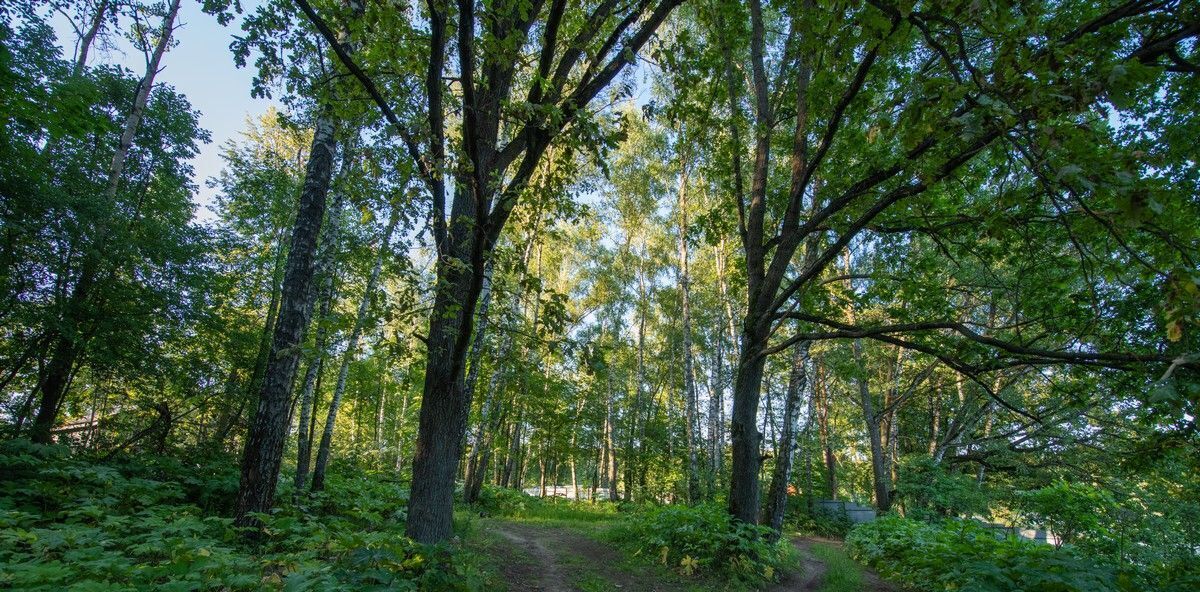 земля городской округ Ленинский п Измайлово Бульвар Дмитрия Донского фото 4