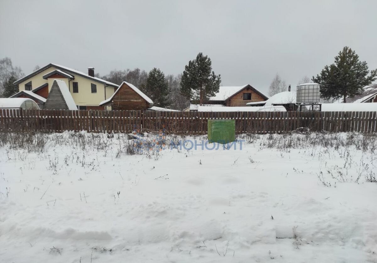 дом р-н Богородский с Ефимьево ул Лесная 8 Буревестник фото 9