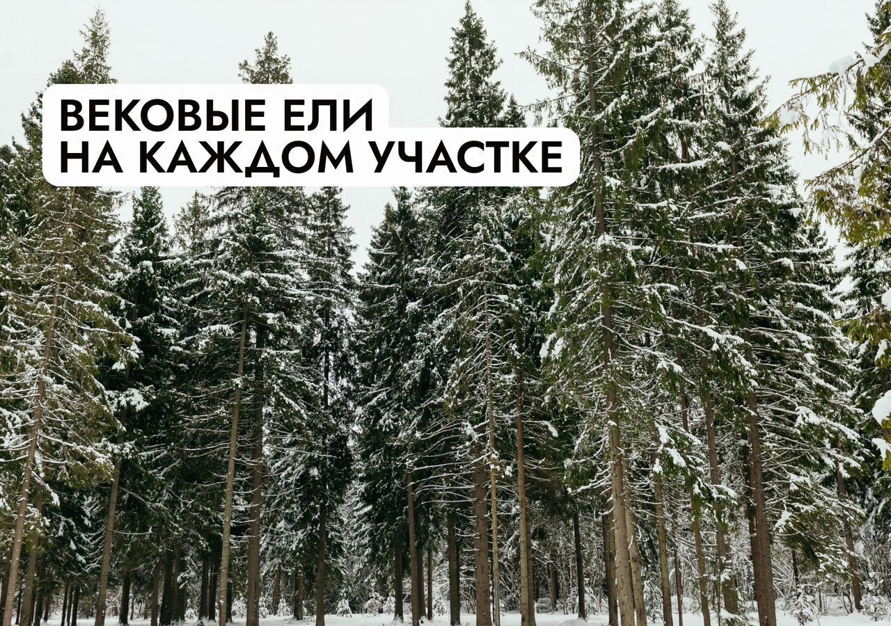 земля городской округ Солнечногорск д Никифорово снт Муравей 36 км, Солнечногорск, Рогачёвское шоссе фото 18