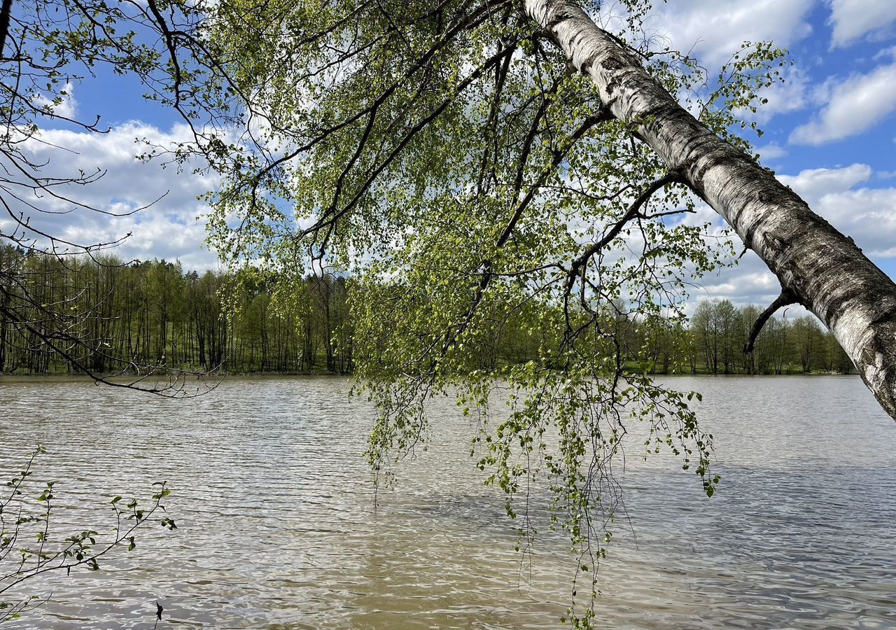 земля р-н Дубенский п Дубна Воскресенское, муниципальное образование фото 2