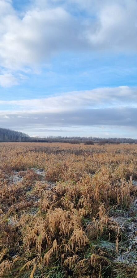 земля г Санкт-Петербург р-н Московский Пулковское шоссе, 4 км, муниципальный округ Пулковский Меридиан фото 4