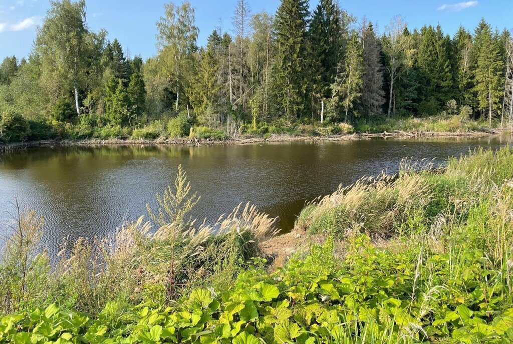 дом г Москва ТиНАО район Бекасово, 59, квартал № 182 фото 4