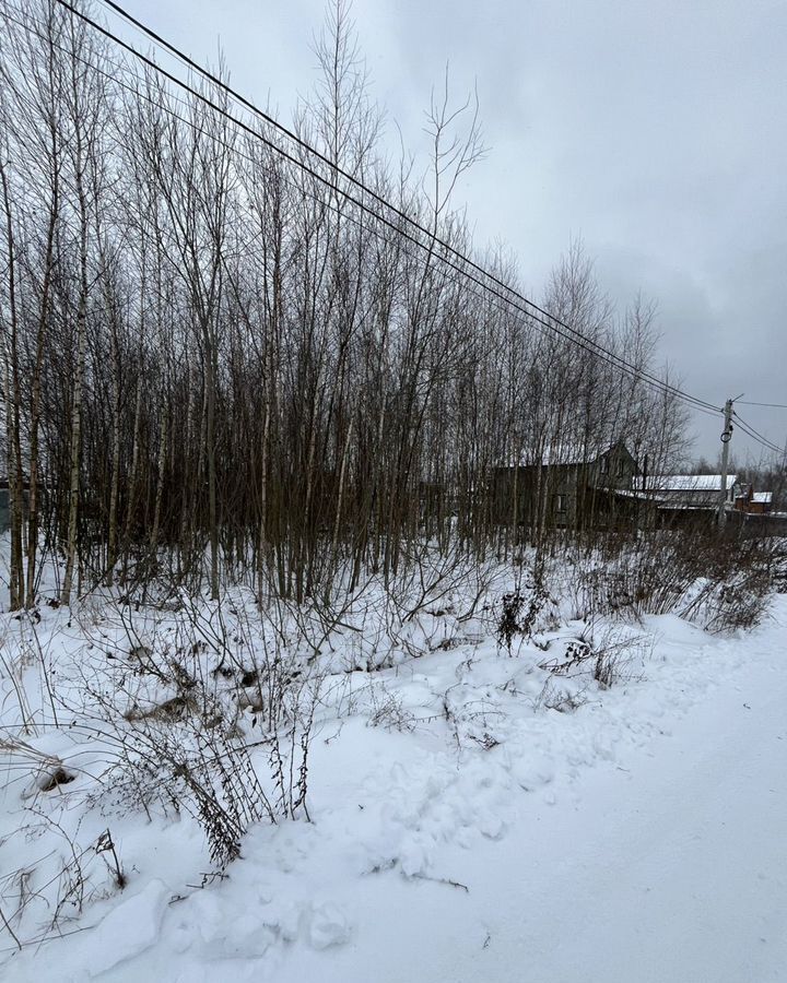 земля городской округ Раменский д Тяжино ул Калиновая 31 км, Бронницы, Рязанское шоссе фото 2