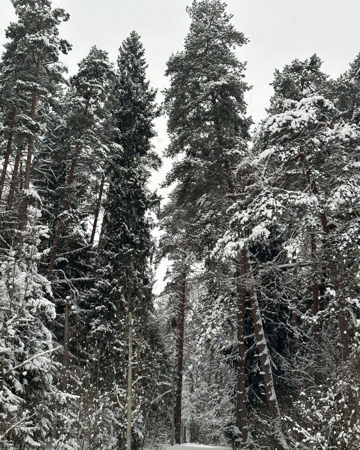 дом р-н Конаковский г Конаково ул Гайдара 31 фото 35