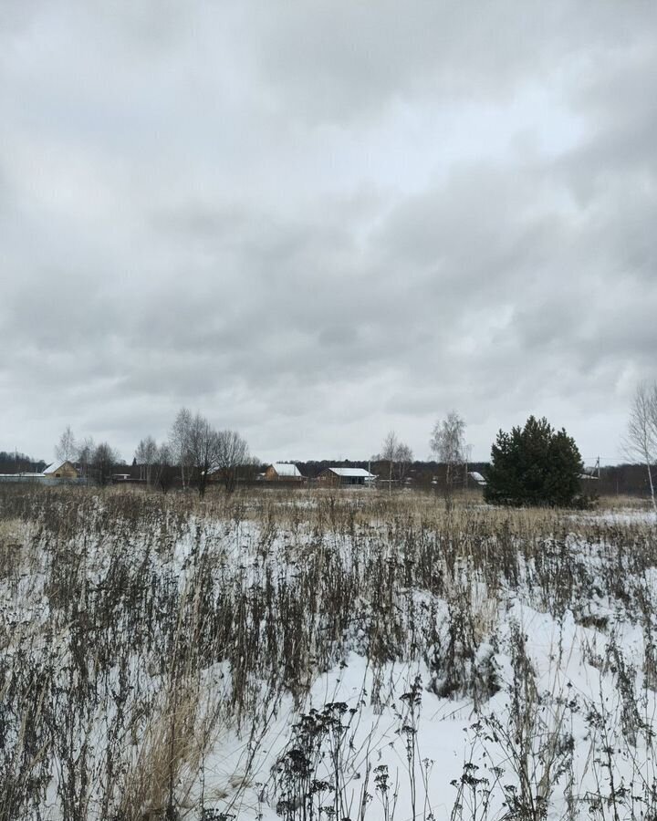 земля городской округ Ступино с Мещерино 60 км, коттеджный пос. Сапроново, территория Сапроново-1, г. о. Ступино, Новорязанское шоссе фото 6