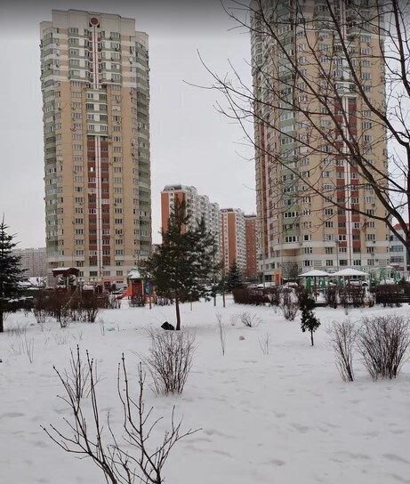 квартира г Москва метро Некрасовка ул Льва Яшина 9 микрорайон «Некрасовка-Парк» муниципальный округ Некрасовка фото 1