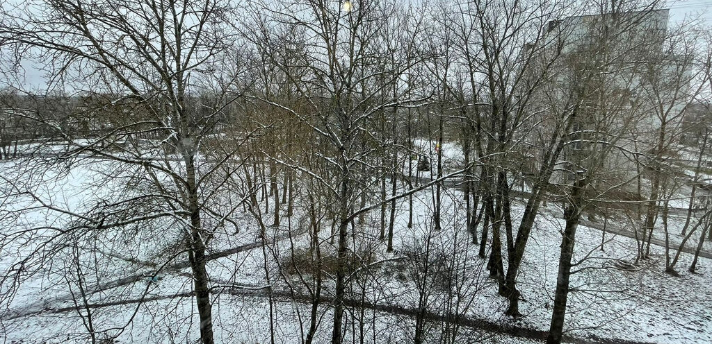 комната р-н Гатчинский п Войсковицы пл Манина 1 Войсковицкое сельское поселение фото 14