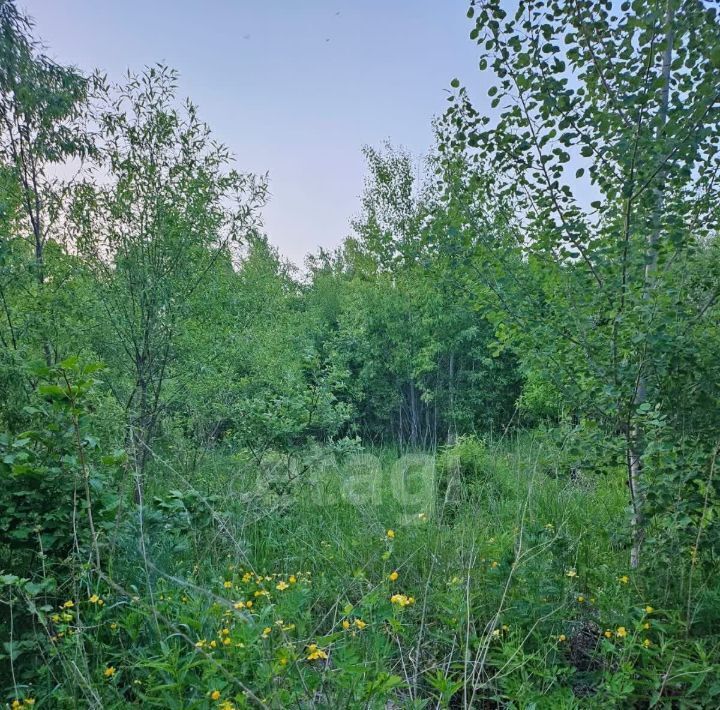 земля г Хабаровск р-н Железнодорожный ул Хабаровская 41 фото 4