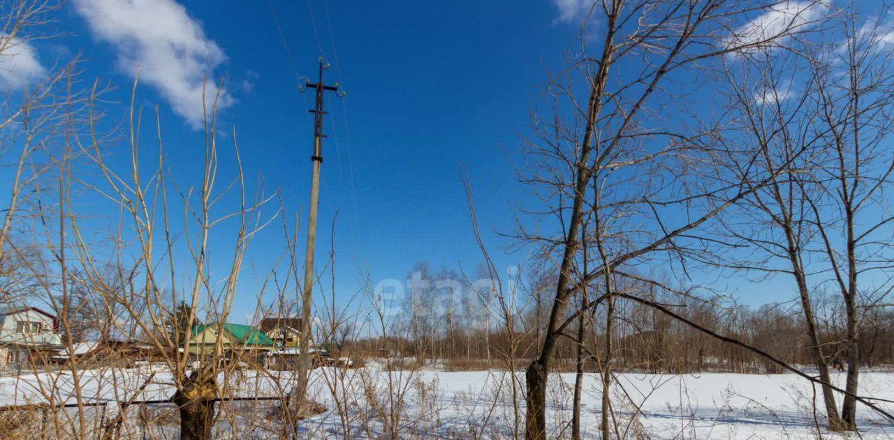 дом р-н Хабаровский с Черная Речка снт Авангард ул Земляничная 49 фото 15