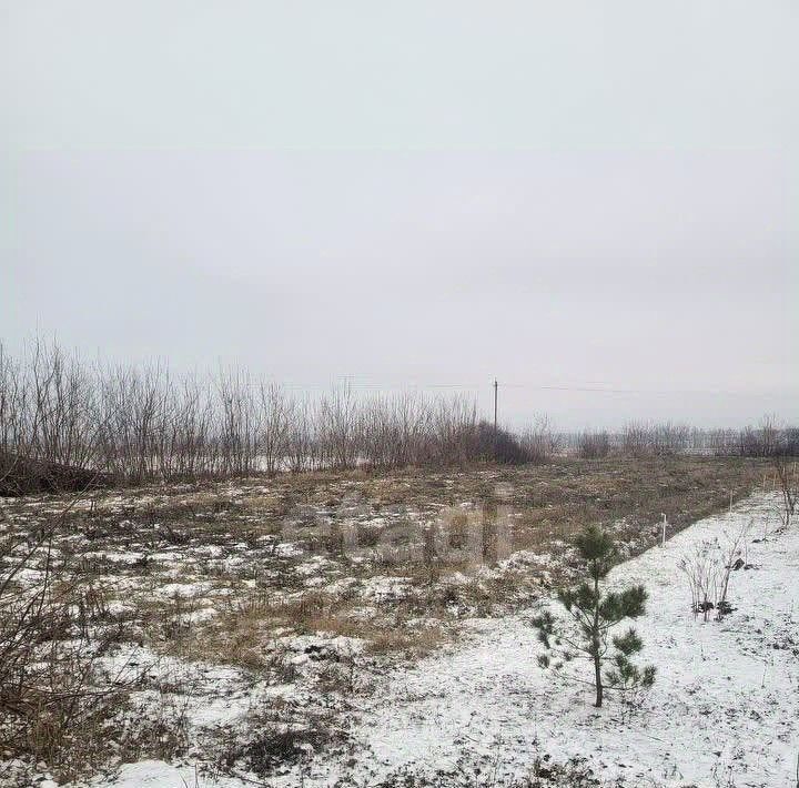 земля р-н Старооскольский с Лапыгино ул Веселая Старооскольский городской округ фото 4