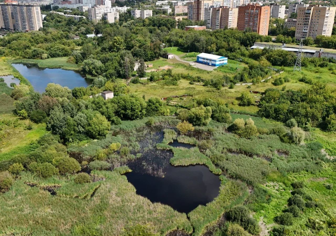 земля направление Казанское (юго-восток) ш Новорязанское 9 км, Лыткарино фото 8