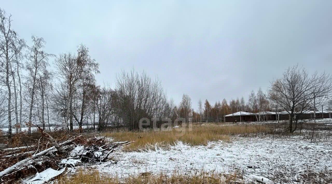 земля р-н Новоусманский с Новая Усмань пер Виноградный Усманское 1-е сельское поселение фото 1