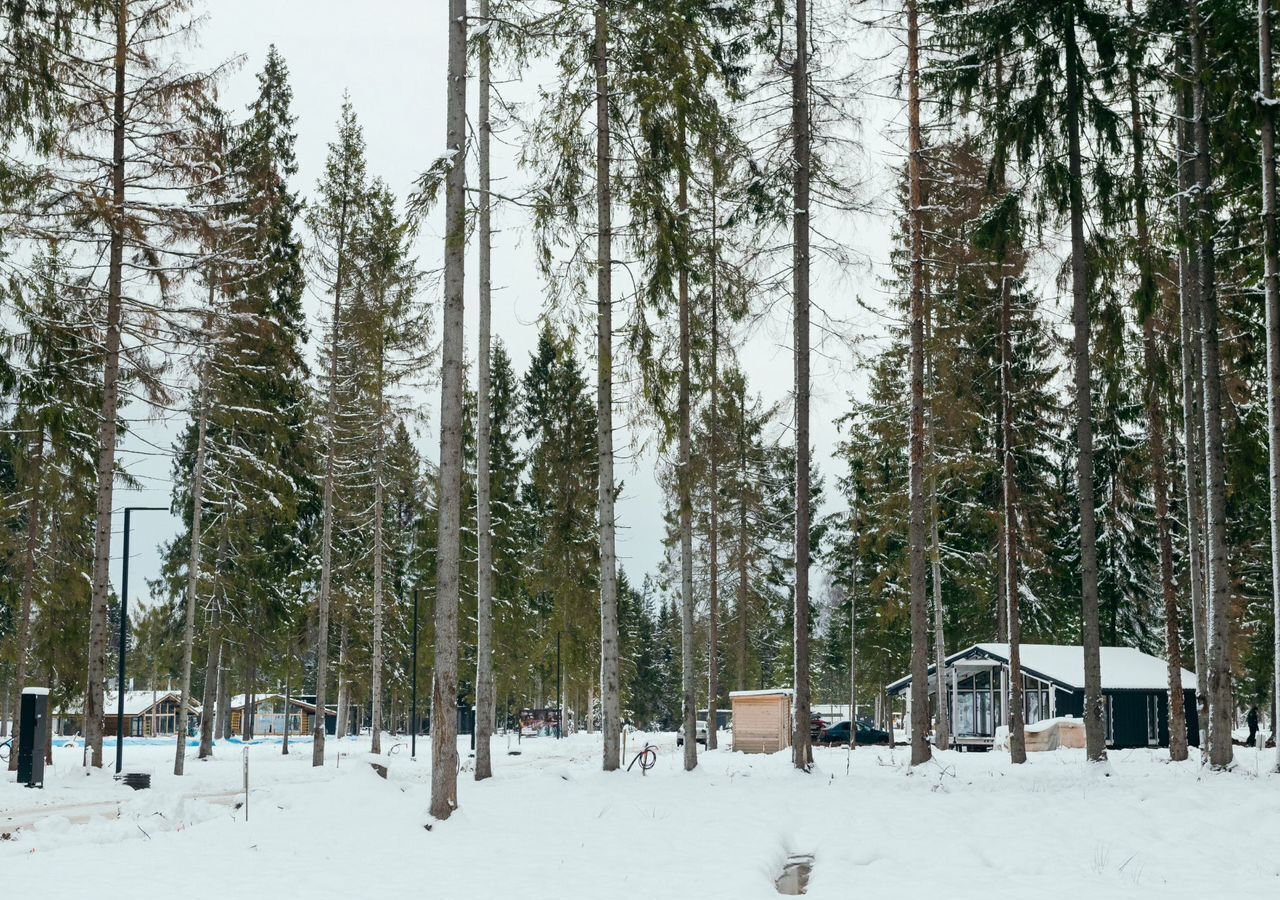 земля городской округ Солнечногорск д Бережки 44 км, 67, Солнечногорск, Пятницкое шоссе фото 28