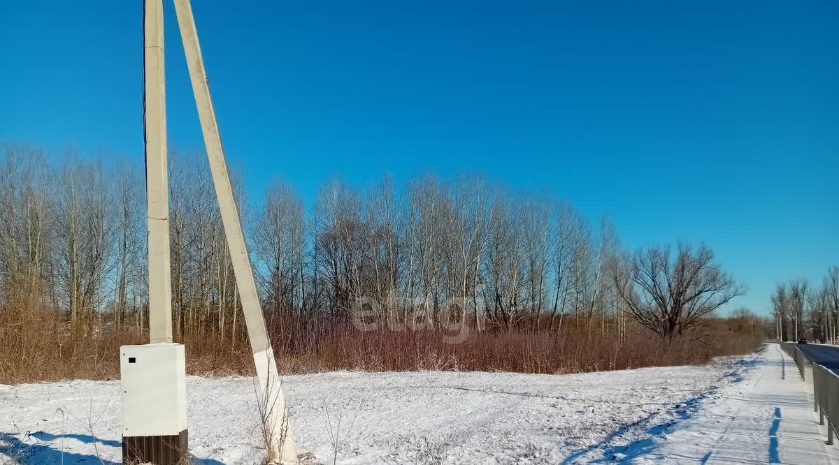 земля р-н Красногвардейский с Засосна ул Ленина Засосенское с/пос фото 8