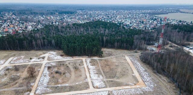 Богородск Форест кп фото