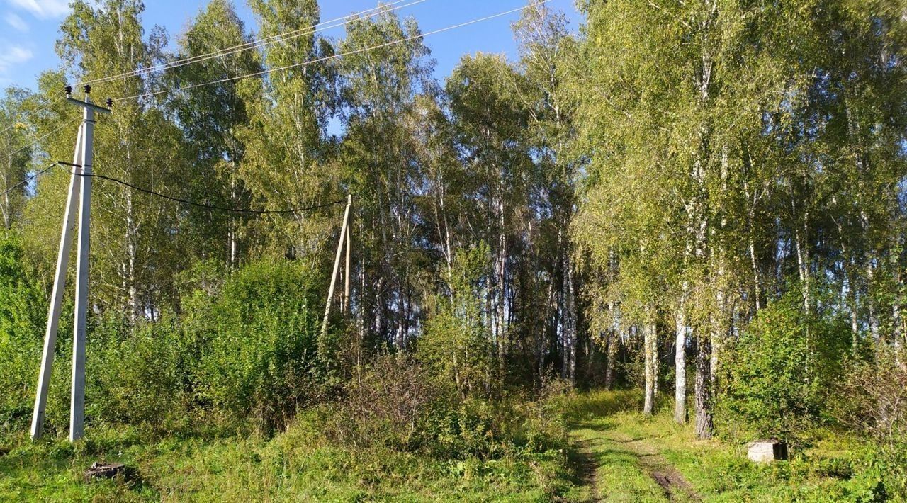 земля р-н Емельяновский с Никольское ул Цветочная Никольский сельсовет фото 21