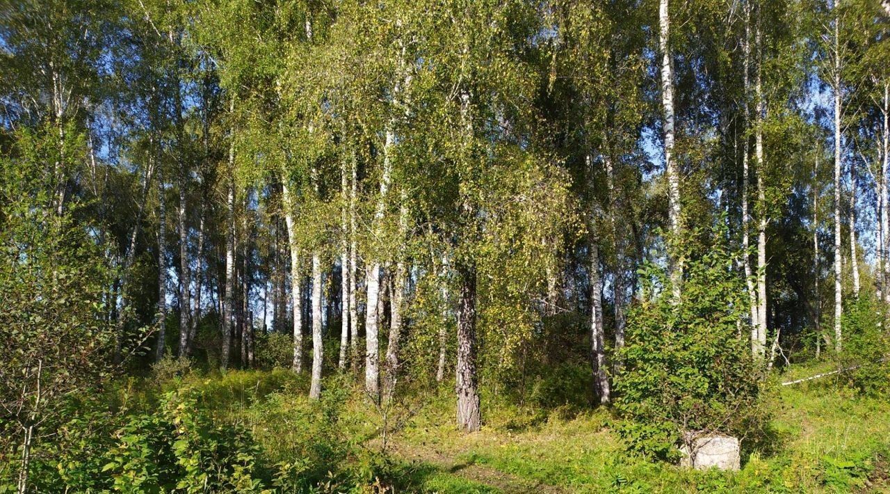 земля р-н Емельяновский с Никольское ул Цветочная Никольский сельсовет фото 18