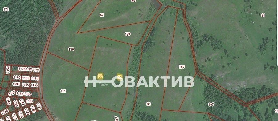 офис г Белокуриха ул Енисейская 30 фото 3