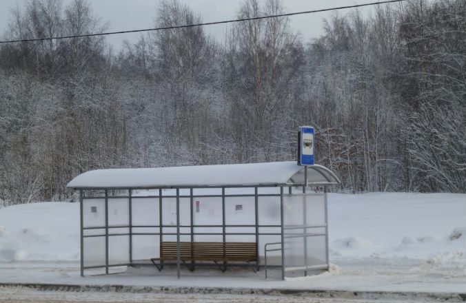 земля городской округ Домодедово 40 км, д. Голубино, Аллейная ул, Новокаширское шоссе фото 7