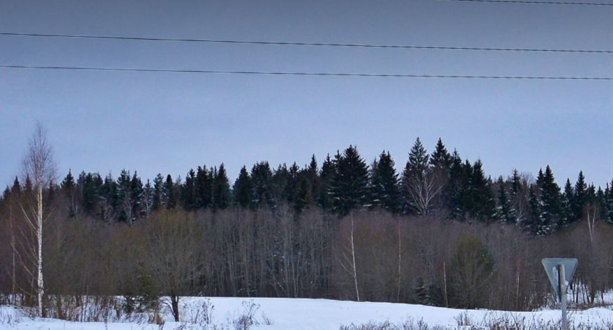 земля городской округ Дмитровский д Федоровка 43 км, коттеджный пос. Подъячево ИЖС, Солнечногорск, Рогачёвское шоссе фото 6