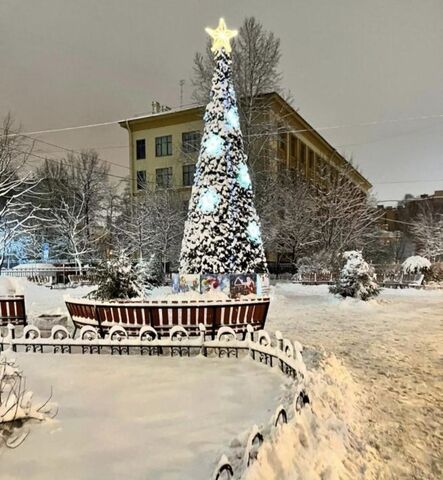 метро Чкаловская ул Большая Зеленина 15 округ Чкаловское, Петроградка фото