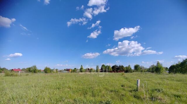 земля с Октябрьское Коломна городской округ фото