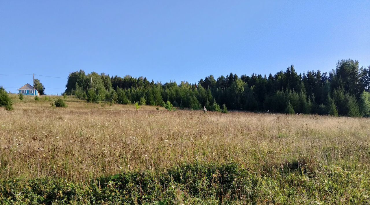 земля р-н Кунгурский д Новоселы Неволинское сельское поселение фото 4