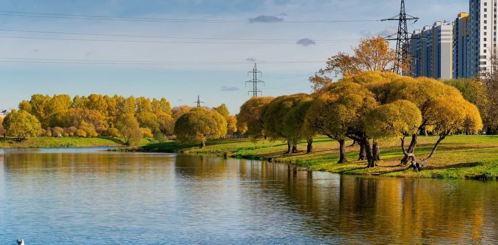 квартира г Санкт-Петербург р-н Фрунзенский ш Южное 51к/1 фото 20