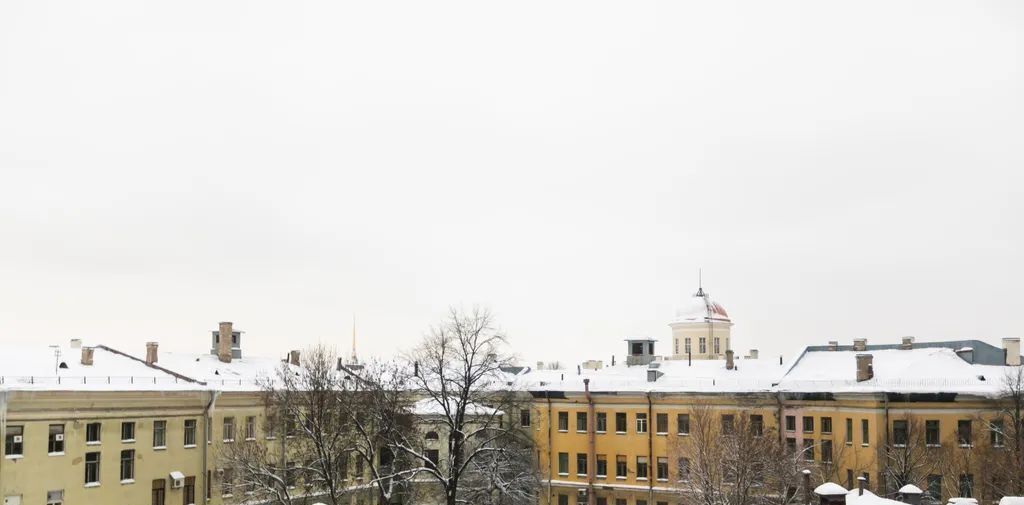 квартира г Санкт-Петербург метро Василеостровская линия Биржевая 1/1ж фото 37