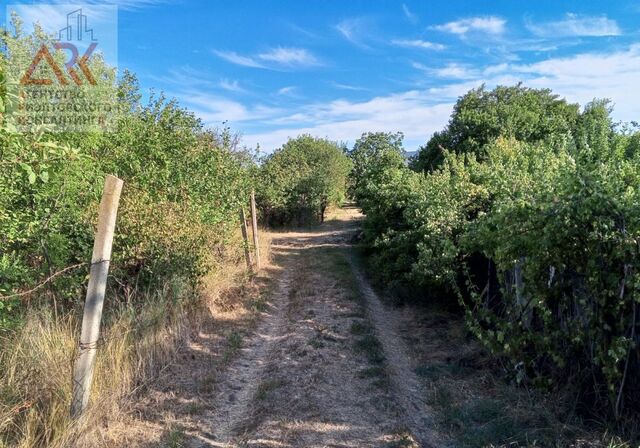 земля СОТ Труд, Центральная ул фото