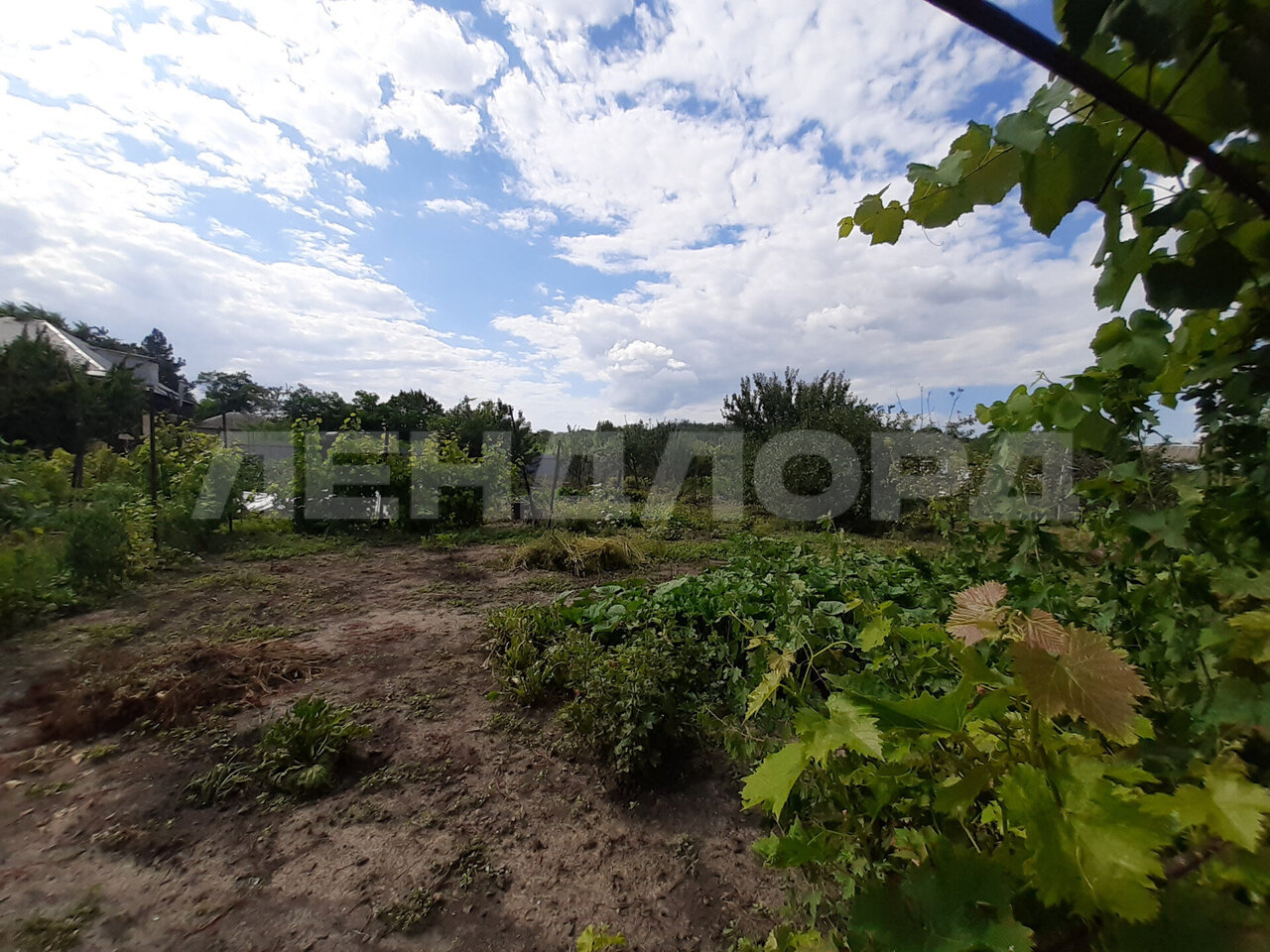 земля г Новочеркасск Октябрьский СТ Персиановское, Персиановская, Октябрьский район фото 1