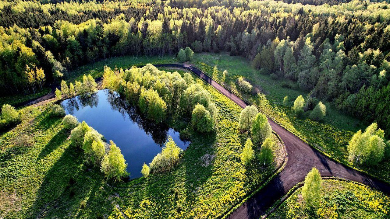 земля городской округ Сергиево-Посадский г Краснозаводск «Холмогоры» фото 6