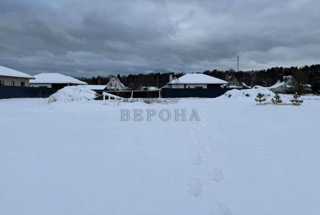 земля городской округ Богородский с Ямкино фото 2